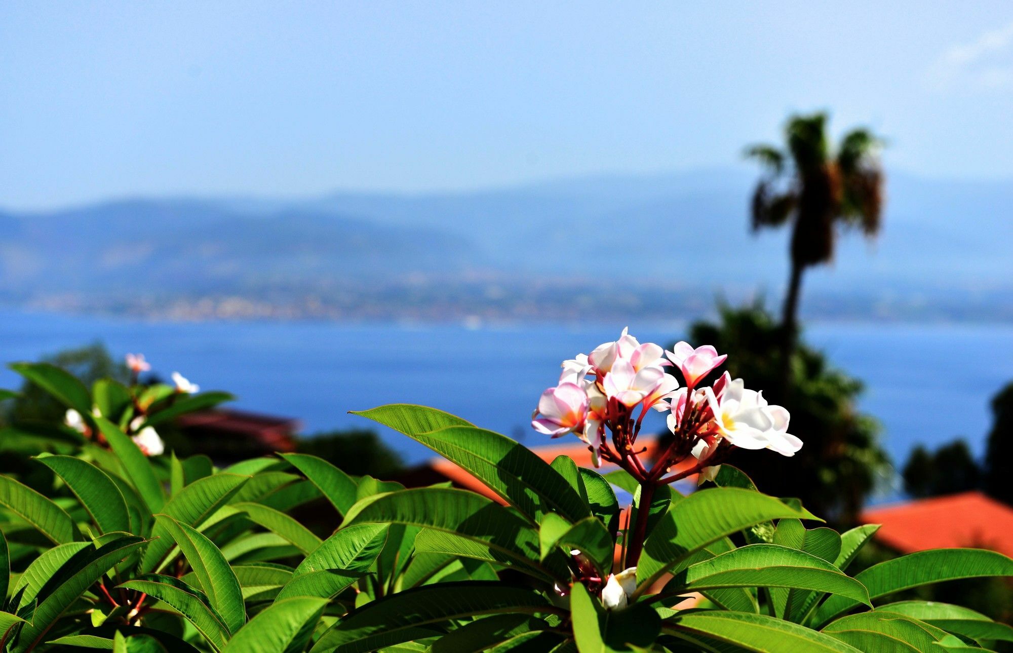 Villa Scilla E Cariddi مسينا المظهر الخارجي الصورة